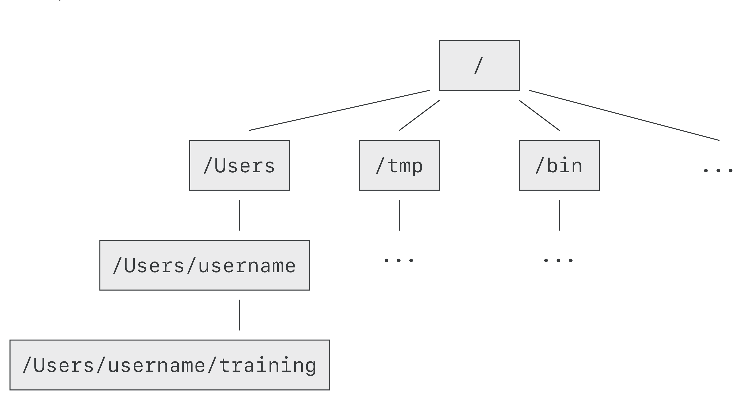 Introduction To The Shell Command Line - 2 The Directory File Structure