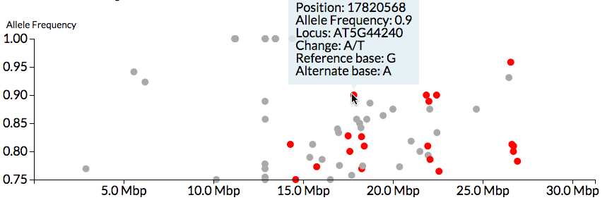 CandiSNP visualisation of SNPs