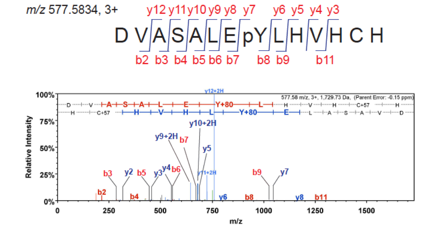 Interpretation of a MS2 spectrum