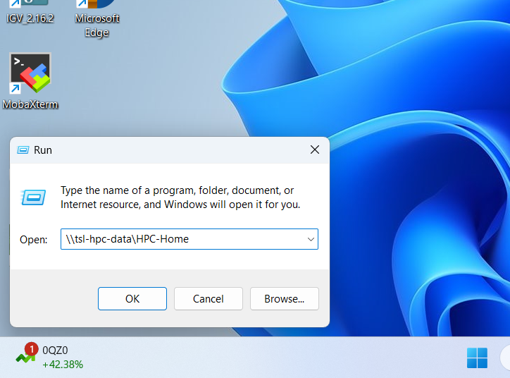 Screen capture of typed network path